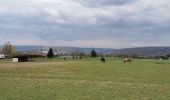 Tour Elektrofahrrad Esneux - VTT Corona 1 - Photo 1