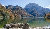 Trail On foot Tarvisio - Giro del Lago - Photo 9