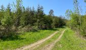 Tocht Stappen Florennes - Balade Morville 2 - Photo 5