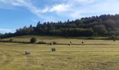 Tocht Stappen Vianden - vianden  .  bivels  .  vianden - Photo 16