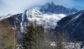 Percorso Marcia Chamonix-Mont-Blanc - CHAMONIX... depuis l' Arveyron jusqu'à la Floria.  - Photo 9
