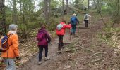 Excursión Senderismo Fontainebleau - croix de Toulouse 21 avril 2023  - Photo 12