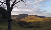 Excursión Senderismo Rivolet - St Cyr le chatoux - Photo 4