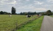 Trail Walking La Roche-en-Ardenne - Ramee  - Photo 1