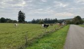 Tour Wandern La Roche-en-Ardenne - Ramee  - Photo 1