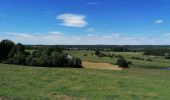 Randonnée Vélo de route Habay - Termes, le point du vue du Menil - Photo 3