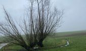 Randonnée Marche Gerpinnes - Gougnies par les carrières  - Photo 3