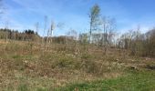 Randonnée Marche Prény - Cabane Vautrin - Photo 1