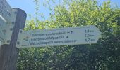 Tour Wandern Goesdorf - Goebelsmühle  - Photo 6