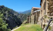 Randonnée Marche Casteil - Gorges du Cady Abbaye St Martin_T - Photo 18