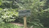 Tour Wandern Sint-Genesius-Rode - 2020-09-01 - Forêt de Soignes- Rhode Saint Genève  - Photo 2