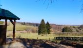 Excursión Senderismo Bütgenbach - Promenade le long de la Warche   - Photo 9