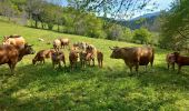 Randonnée Marche Corrençon-en-Vercors - balladecavec les copines - Photo 10