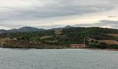 Tocht Stappen Port-Vendres - anse des paulliles - cap bear via les vignes retour par le chemin côtier - Photo 2