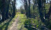Trail Walking Oupeye - Hermalle-sous argentau - Photo 2