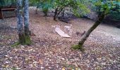 Excursión Senderismo Besançon - Forêt de Chailluz - Photo 4