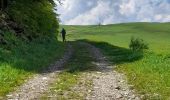 Tour Wandern Tréminis - Sentier de la résistance en boucle - Photo 7