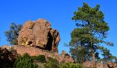 Tour Wandern Mandelieu-la-Napoule - Mandelieu - Chapelle St Jean - Baisse Violette - Suvières - Marsaou - Col des 3 Termes - Oeufs de Bouc - Photo 2