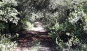 Trail Walking Tautavel - Tautavel chemin des bacs - Photo 15