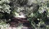 Tour Wandern Tautavel - Tautavel chemin des bacs - Photo 15