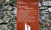 Tour Zu Fuß Mandello del Lario - Sentiero 14: Rongio - Buco di Grigna - Photo 9