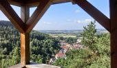 Tour Zu Fuß Wirsberg - FrankenwaldSteigla Franzosenweg - Photo 10