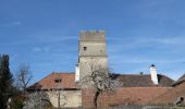 Percorso A piedi Gemeinde Spitz - Schwallenbach-Ruine Hinterhaus-Spitz - Photo 7