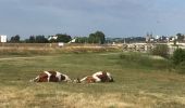 Tour Wandern Blois - Dimanche 7 juillet 3019 - Loire -  seule - Photo 2