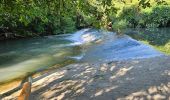 Trail Walking Sainte-Anastasie-sur-Issole - Saint Quinis - Ste Anastasie - Photo 2