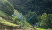 Tour Wandern Valverde - Valverde - Garoé - Ventejis (El Hierro) - Photo 16