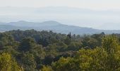 Excursión Senderismo Beaumont-de-Pertuis - Beaumont de  Pertuis - La Bastide des Jourdans - Photo 1