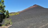 Percorso Marcia El Tanque - Boucle volcan Chinyero à Tenerife  - Photo 5