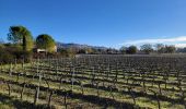 Percorso Marcia Fayence - Fayence. Le circuit des trois chapelles  - Photo 15
