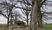 Tour Wandern Durbuy - ballade autour des menhirs, dolmens et pierres de légendes de Weris - Photo 10