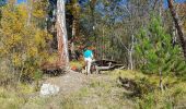 Tour Wandern Embrun - torrent sainte Marthe  - Photo 8