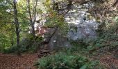 Tocht Stappen Grendelbruch - Grendelbruch - château de Guirbaden - châtaignes - Photo 2