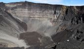 Tocht Stappen Sainte-Rose - Le Piton de la fournaise (aller)  - Photo 8