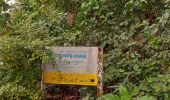 Tour Wandern La Trinité - École de pêche - Bourg Tartane  - Photo 11