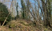 Trail Walking Saint-Jean-sur-Mayenne - Château de la Merveile - Photo 10
