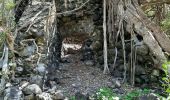 Tocht Stappen Sainte-Anne - Quartier ferré vers Cap Chevalier avec modification du parcours en cas de problème à Anse aux bois !  - Photo 8