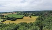 Randonnée Marche Condé-sur-Vire - Le rocher de Ham - Photo 3