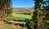 Excursión Senderismo Stoumont - A la découverte du ruisseau du Roannay et le village de Moulin du Ruy - Photo 20