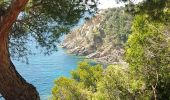 Trail Walking Cavalaire-sur-Mer - CAVALAIRE  - Photo 6