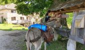 Tour Wandern Vassieux-en-Vercors - Vassieux en Vercors- La Chapelle en Vercors- Rando Âne (2 et 3 ème jour) -  - Photo 2