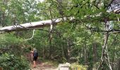 Tour Wandern Saint-Nectaire - LES GROTTES DE CHATEAUNEUF DEPUIS LE CAMPING DU VIGINET - Photo 6