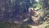 Tour Reiten Saint-Félicien - rochefort version longue - Photo 3