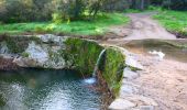 Trail Walking Le Plan-de-la-Tour - Autour du rocher de San Peyre - Photo 19