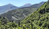 Tour Wandern La Cabanasse - train jaune 01 - Photo 11