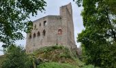 Randonnée Marche Andlau - 2022-09 Boucle Andlau - Château du Haut-Andlai - Château de Spesbourg - Photo 4