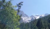 Tour Wandern La Grave - vallons de la Meije : lac Puy Vachère - Photo 3